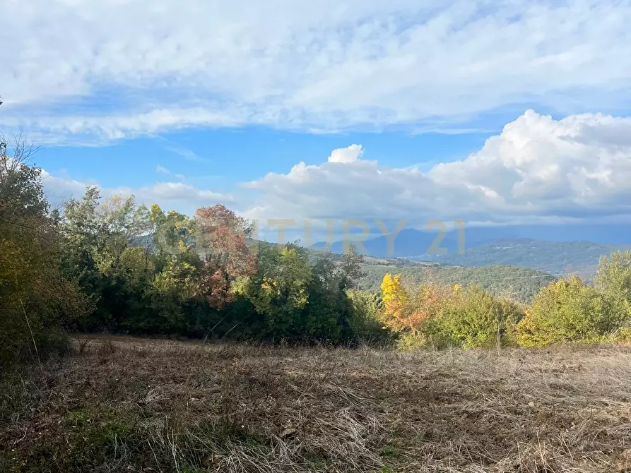 Immagine 18 di Rustico / casale in vendita  in località casa iaconi a Semproniano