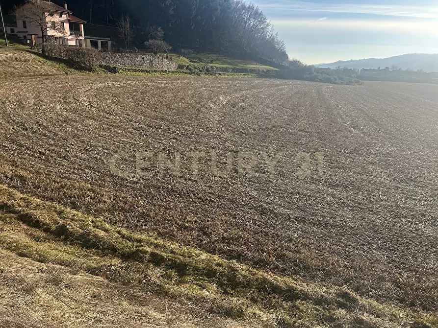 Immagine 13 di Terreno edificabile in vendita  in Via Don Giovanni Calabria 2 a Tregnago