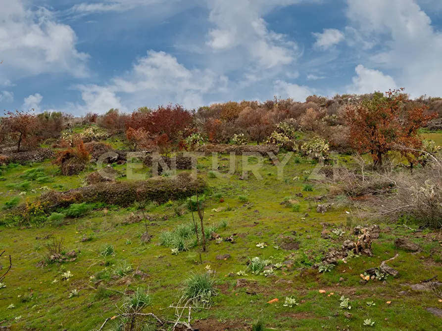 Immagine 24 di Terreno agricolo in vendita  in Via Santa Maria di Licodia a Belpasso