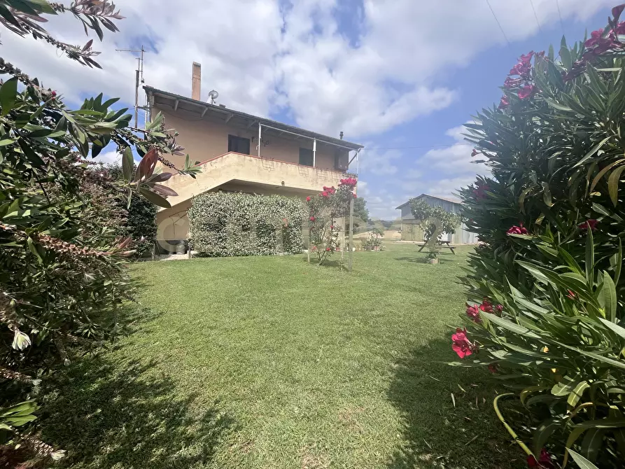 Immagine 8 di Rustico / casale in vendita  in Via Case Sparse a Scansano