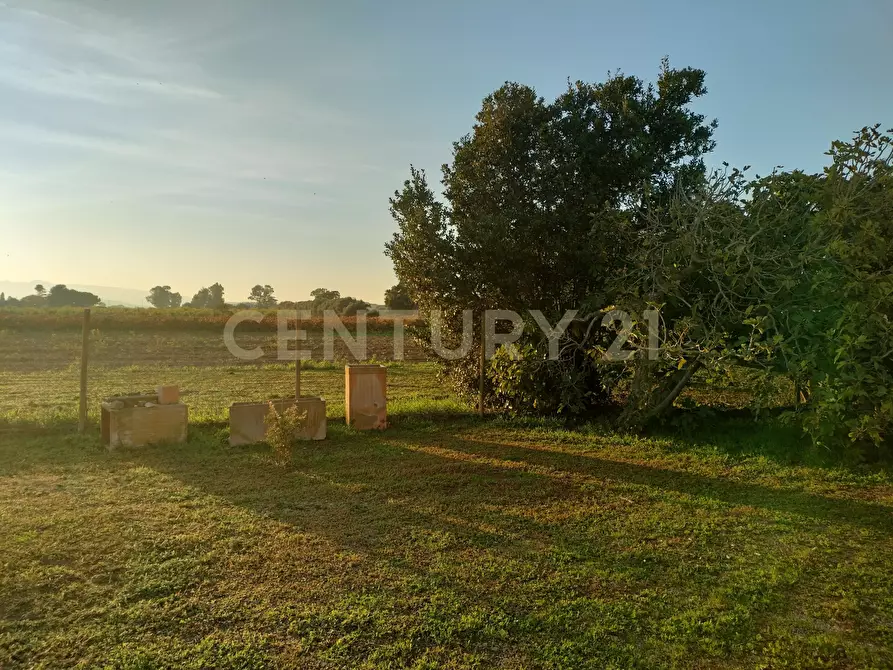Immagine 16 di Rustico / casale in vendita  in Strada Pedemontana a Capalbio