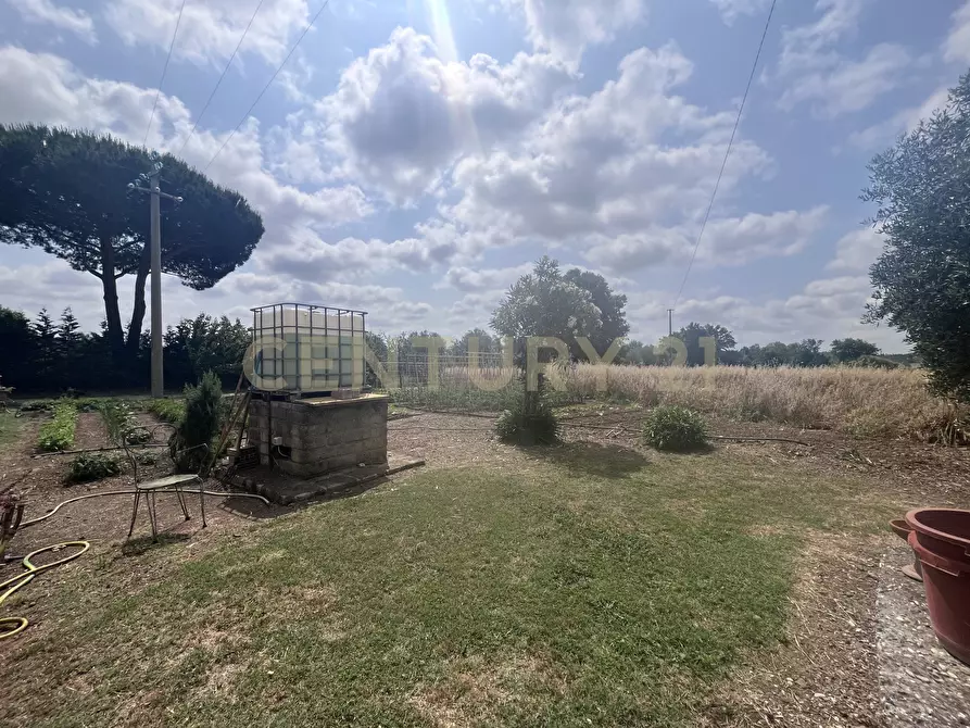 Immagine 10 di Rustico / casale in vendita  in Via Case Sparse a Scansano