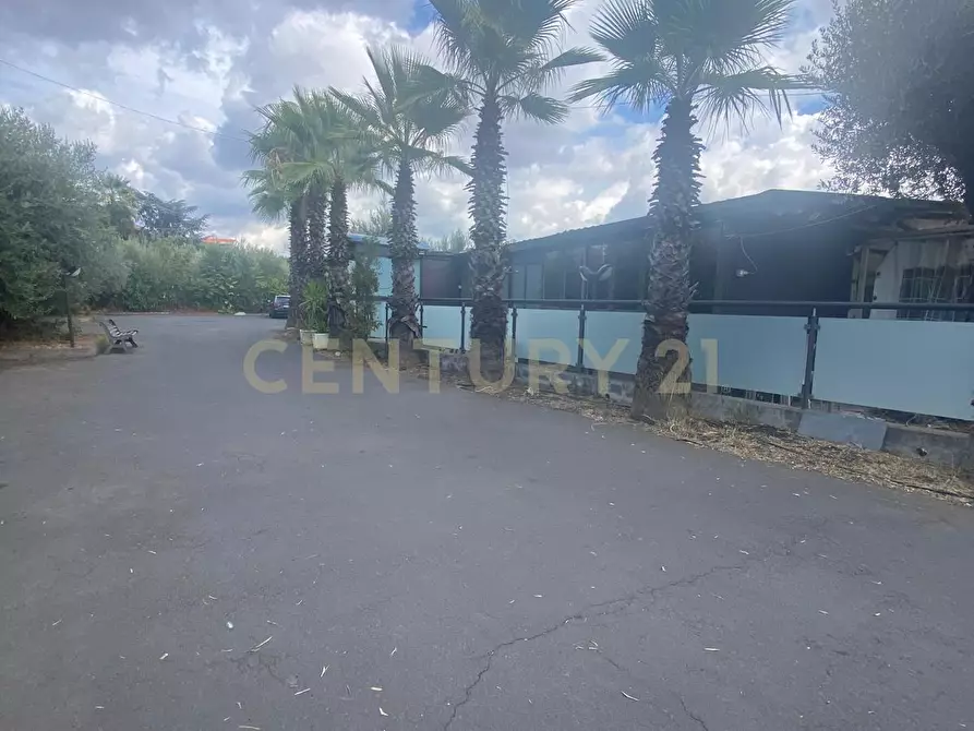 Immagine 7 di Pizzeria / Pub in vendita  in Via Alcide de Gasperi 110 a Mascalucia