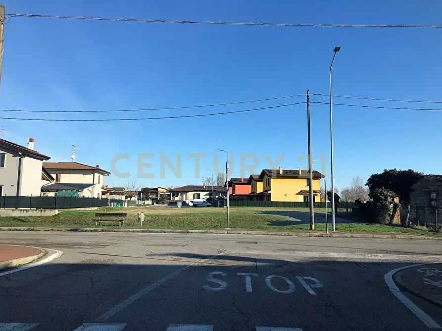 Immagine 2 di Terreno agricolo in vendita  in Via Angiaresca snc a San Pietro Di Morubio