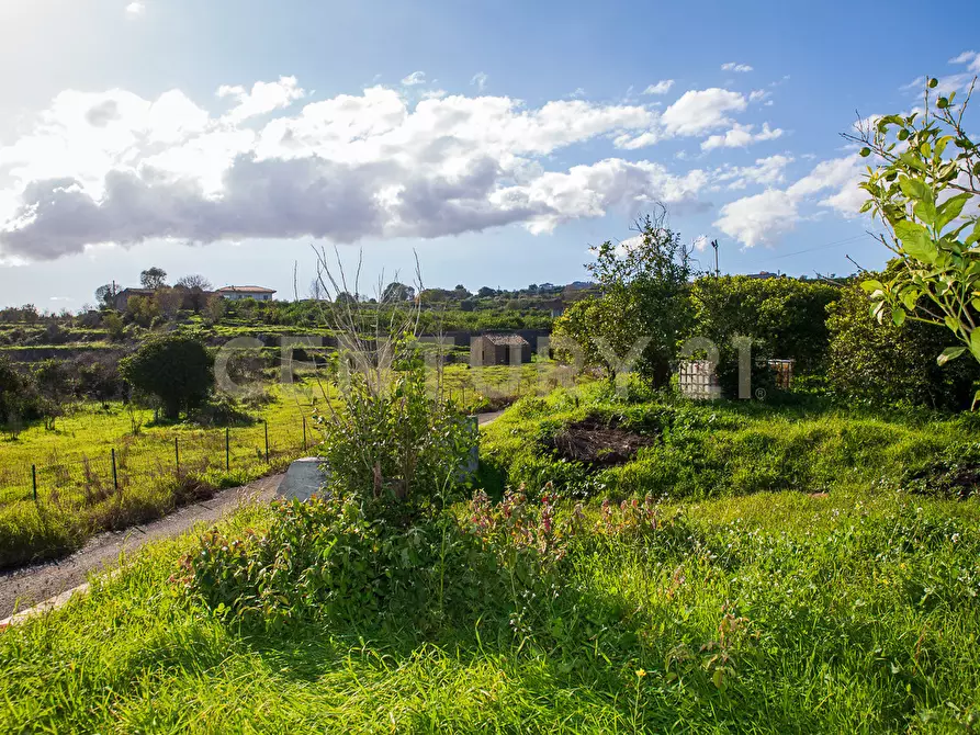 Immagine 23 di Terreno agricolo in vendita  in Via San Piero Patti 108 a Acireale