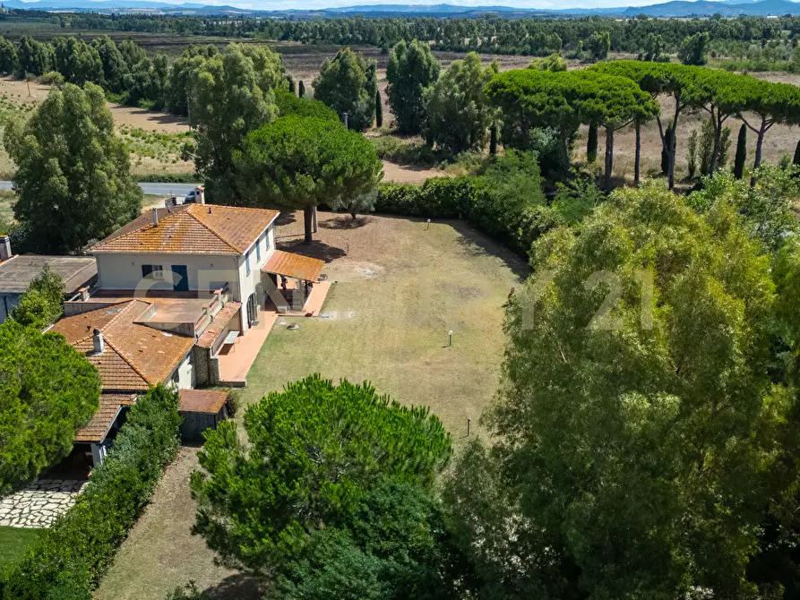 Immagine 6 di Rustico / casale in vendita  in Strada Provinciale San Donato 23 a Orbetello