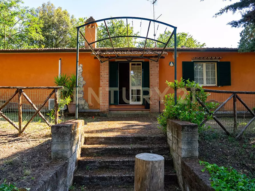 Immagine 42 di Rustico / casale in vendita  a Cinigiano