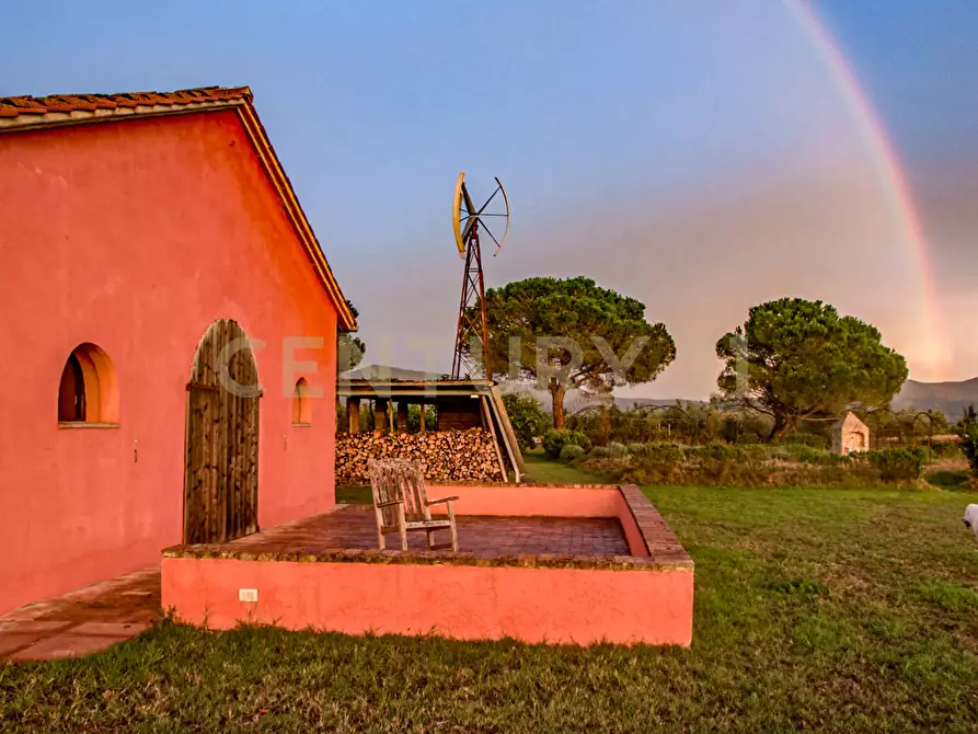 Immagine 19 di Rustico / casale in vendita  in località podere dogana a Roccastrada