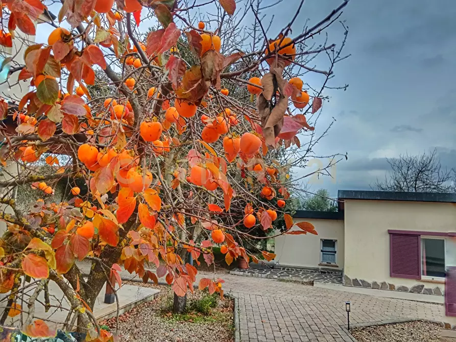 Immagine 62 di Casa indipendente in vendita  in podere san giuseppe a Piancastagnaio