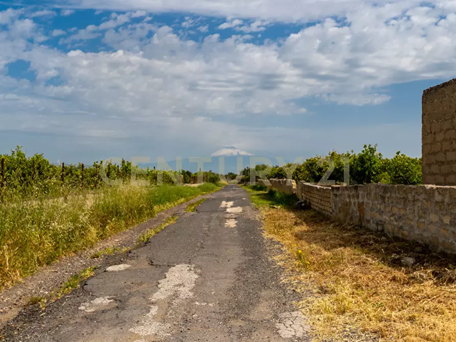 Immagine 19 di Rustico / casale in vendita  in Strada Provinciale 92 92 a Francofonte