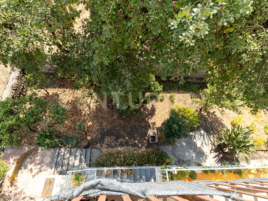 Immagine 41 di Pentalocale in vendita  in Via Vittorio Emanuele 181 a Viagrande