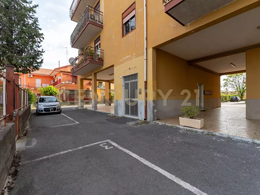 Immagine 18 di Quadrilocale in vendita  in Via Marcellino Giuseppe 19 a Catania