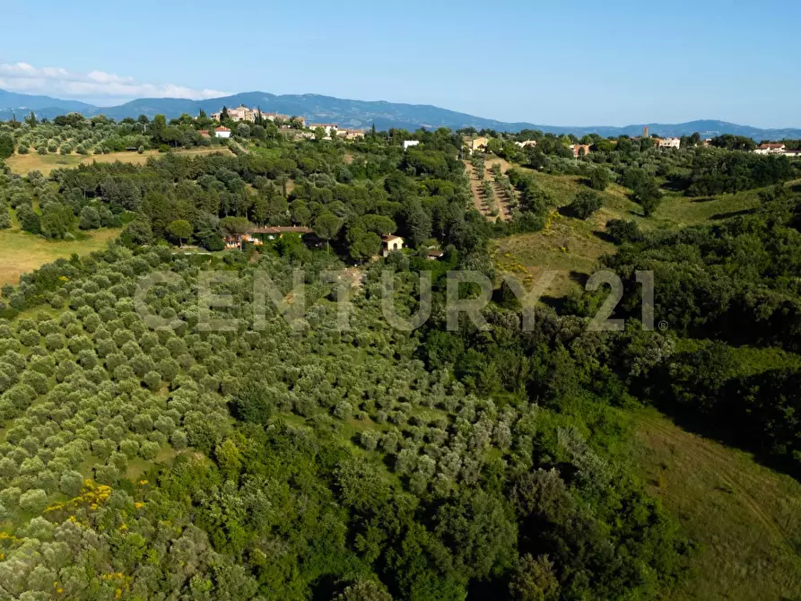 Immagine 7 di Rustico / casale in vendita  a Cinigiano