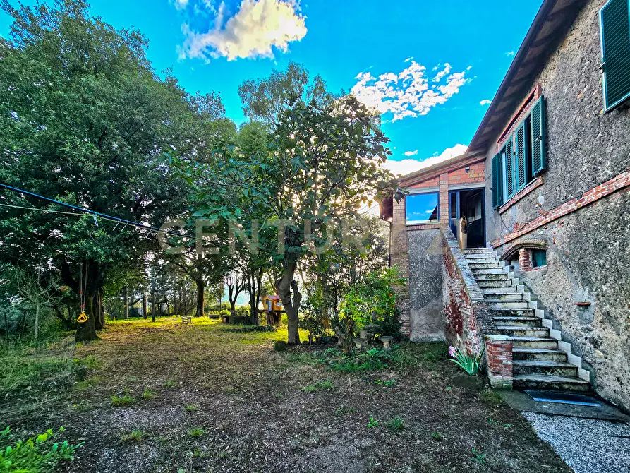 Immagine 21 di Rustico / casale in vendita  in Strada Provinciale Lupo a Gavorrano