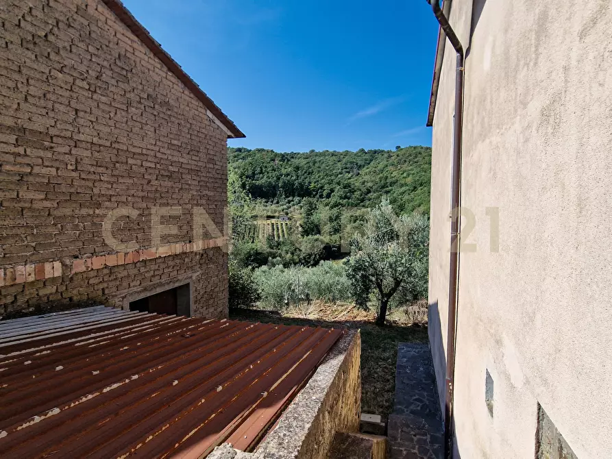Immagine 18 di Rustico / casale in vendita  in Strada Provinciale Voltina 12 a Cinigiano