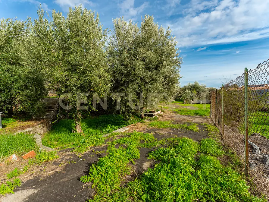 Immagine 16 di Terreno agricolo in vendita  in Via Cerza 35 a San Gregorio Di Catania