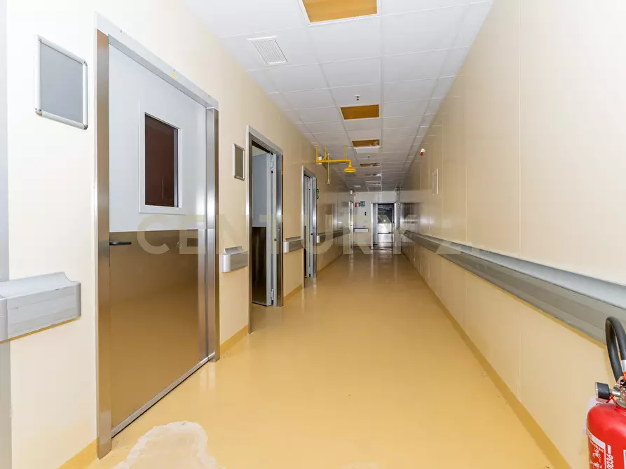 Immagine 52 di Attività artigianale in vendita  in Strada III Mimosa 14 a Catania