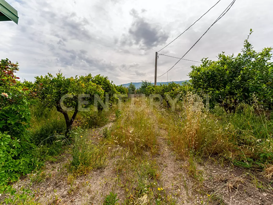 Immagine 22 di Rustico / casale in vendita  in Strada Provinciale 92 92 a Francofonte