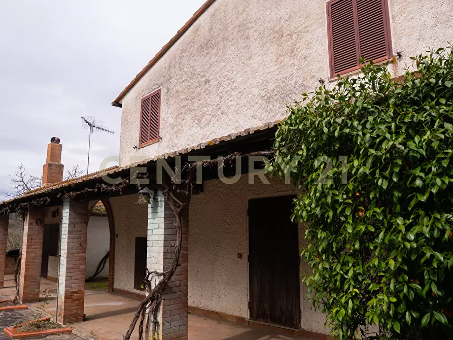 Immagine 8 di Rustico / casale in vendita  in sasso d'ombrone a Cinigiano