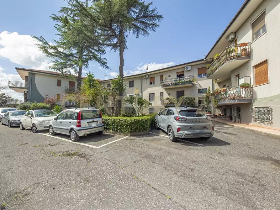 Immagine 3 di Pentalocale in vendita  in Viale Lorenzo Bolano 45 a Catania