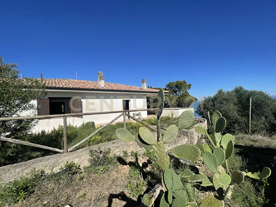 Immagine 1 di Villa in vendita  in località santa liberata a Monte Argentario
