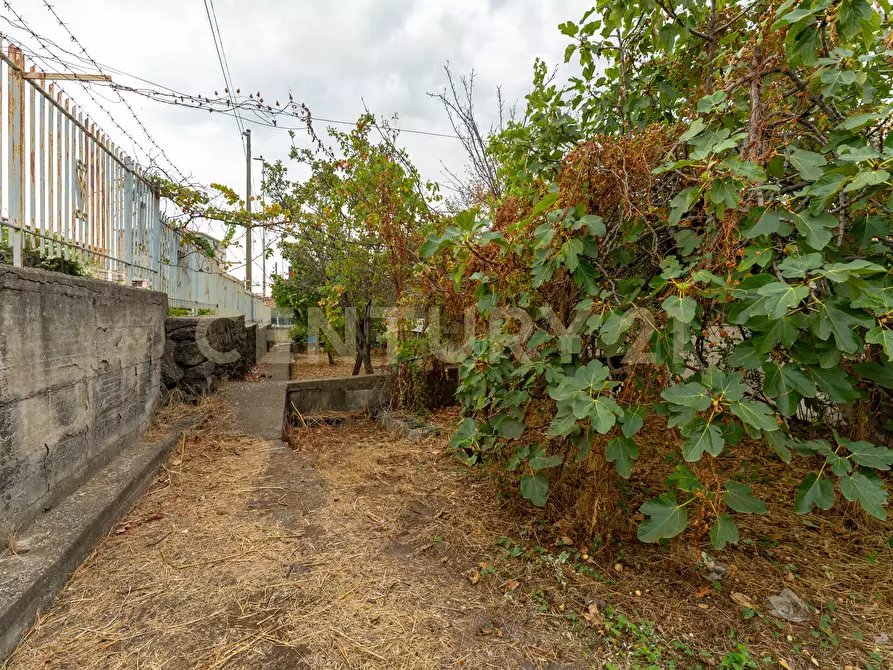 Immagine 21 di Locale commerciale in vendita  in Via Galermo 185 a Catania