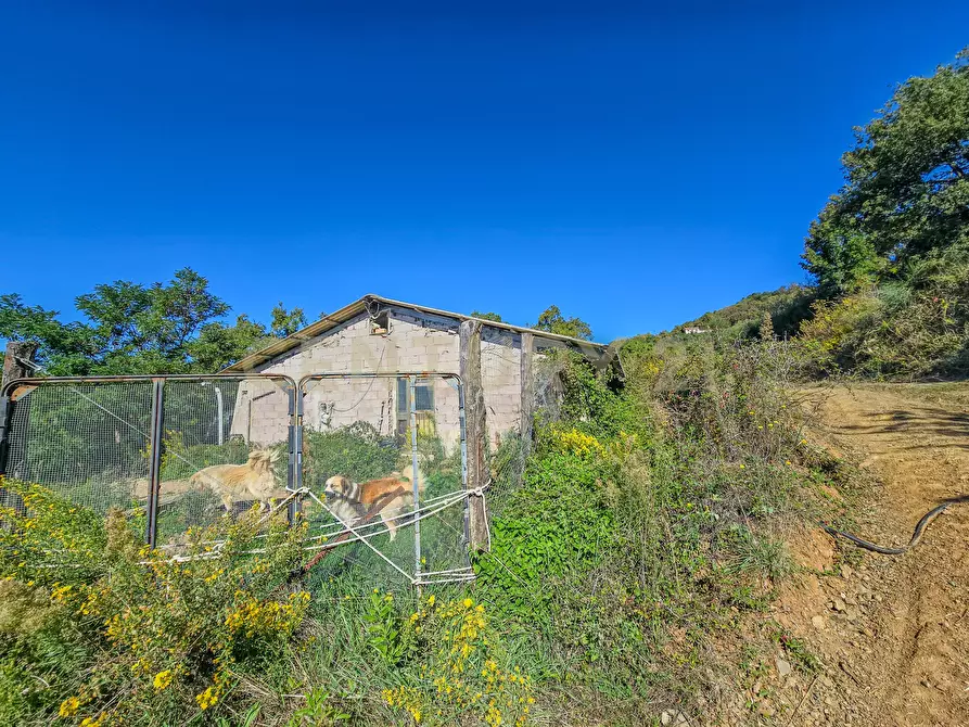 Immagine 9 di Appartamento in vendita  in località le coste snc a Roccastrada