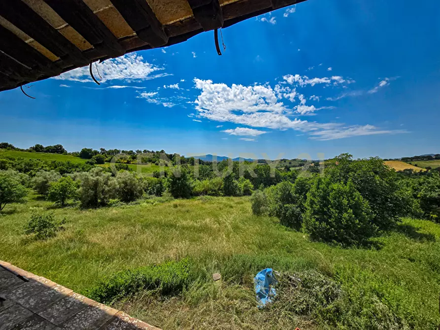 Immagine 16 di Rustico / casale in vendita  in località podere la vena 20 a Civitella Paganico