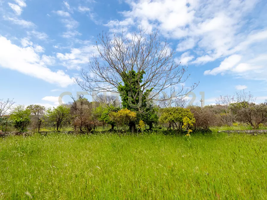 Immagine 26 di Terreno industriale in vendita  in Via dei Belfiore 4 a Valverde