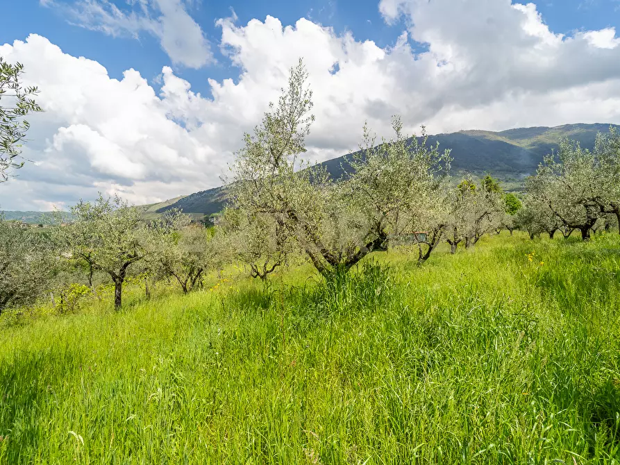 Immagine 20 di Villa in vendita  in Via Colle Sant'Angelo 36 a Serrone
