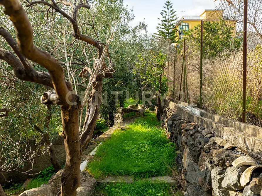 Immagine 36 di Terreno agricolo in vendita  in Via Cerza 35 a San Gregorio Di Catania