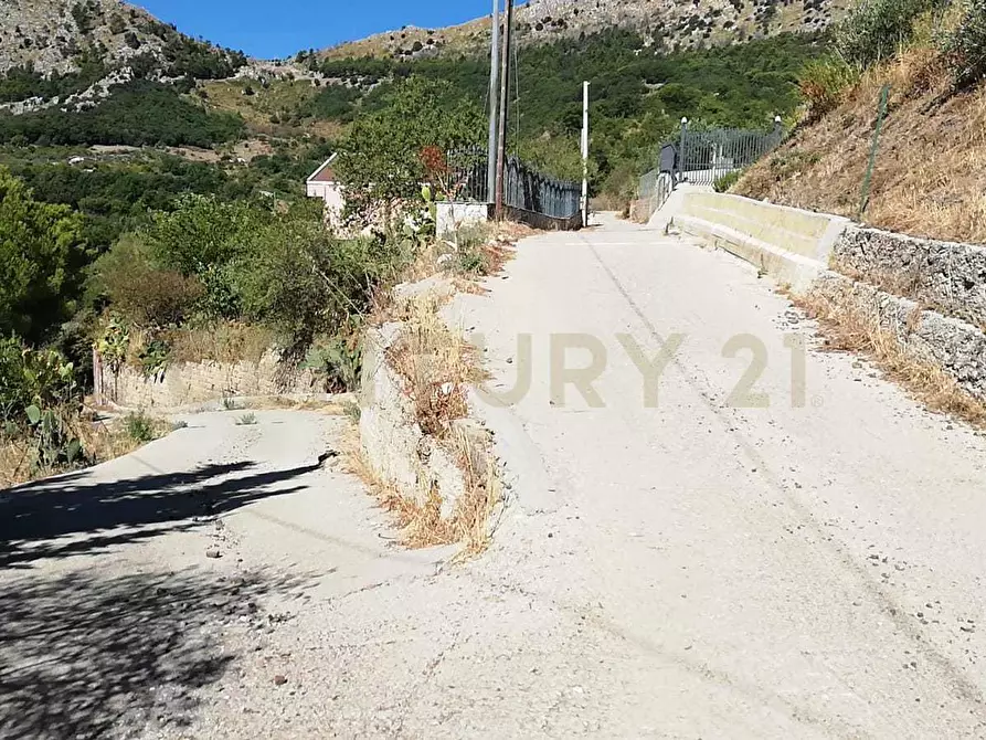 Immagine 7 di Terreno agricolo in vendita  in Contrada Saravulli San Mercurio snc a Piana Degli Albanesi