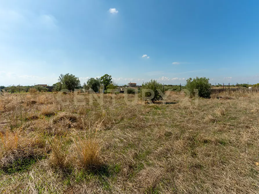 Immagine 9 di Terreno agricolo in vendita  in Via Margarone 5 a Motta Sant'anastasia