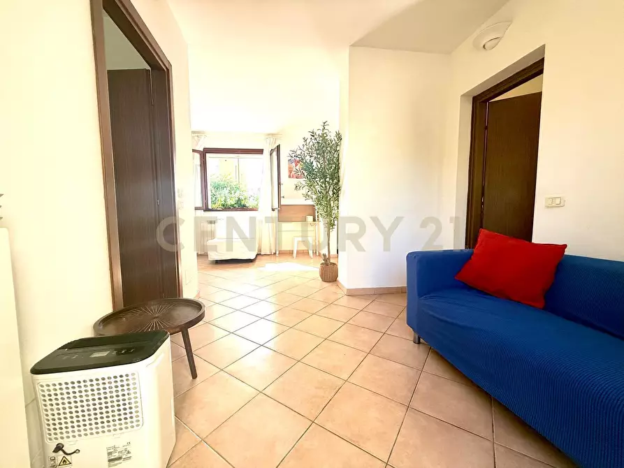 Immagine 39 di Terratetto in vendita  a Grosseto