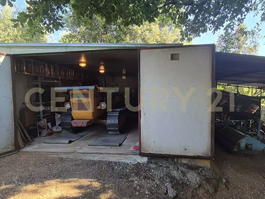 Immagine 35 di Azienda agricola in vendita  in località poggio al capraio snc a Roccastrada