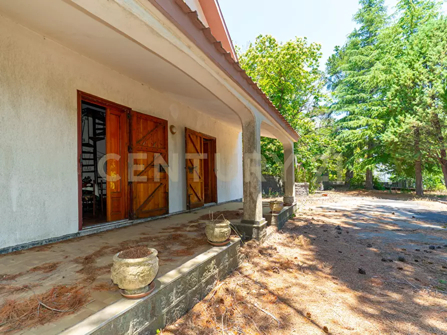 Immagine 56 di Villa in affitto  in Strada Regionale Mareneve SNC a Linguaglossa