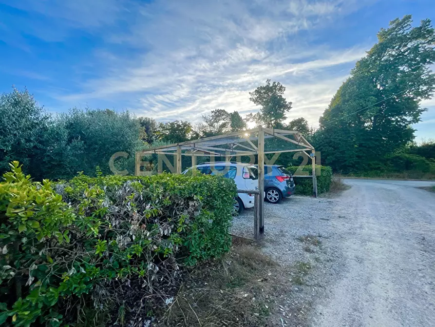 Immagine 17 di Porzione di casa in vendita  in Strada Vicinale di San Donato 36 a Orbetello