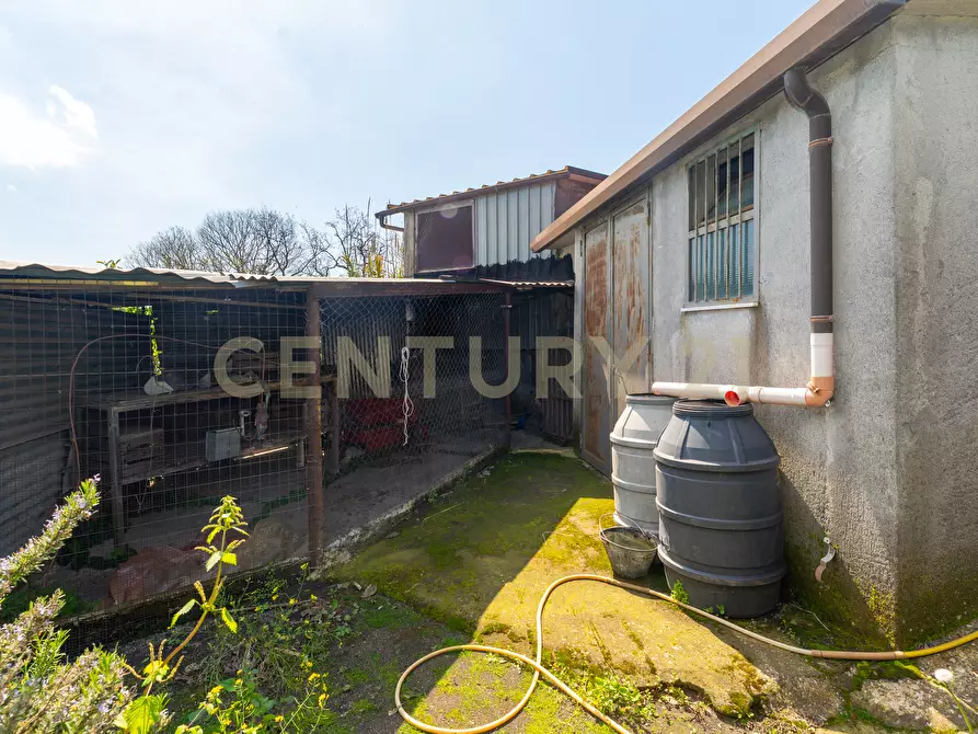 Immagine 35 di Villa in vendita  in Via Ramondetta 47 a Aci Sant'antonio