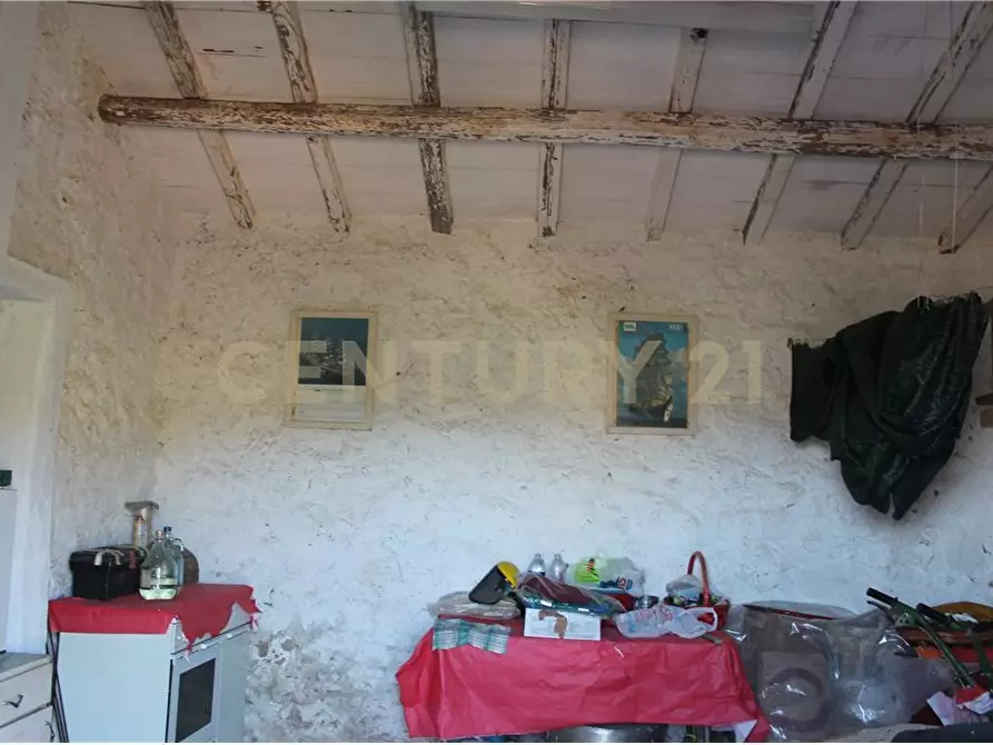 Immagine 14 di Rustico / casale in vendita  in via cannatelli 56 a Monte Argentario