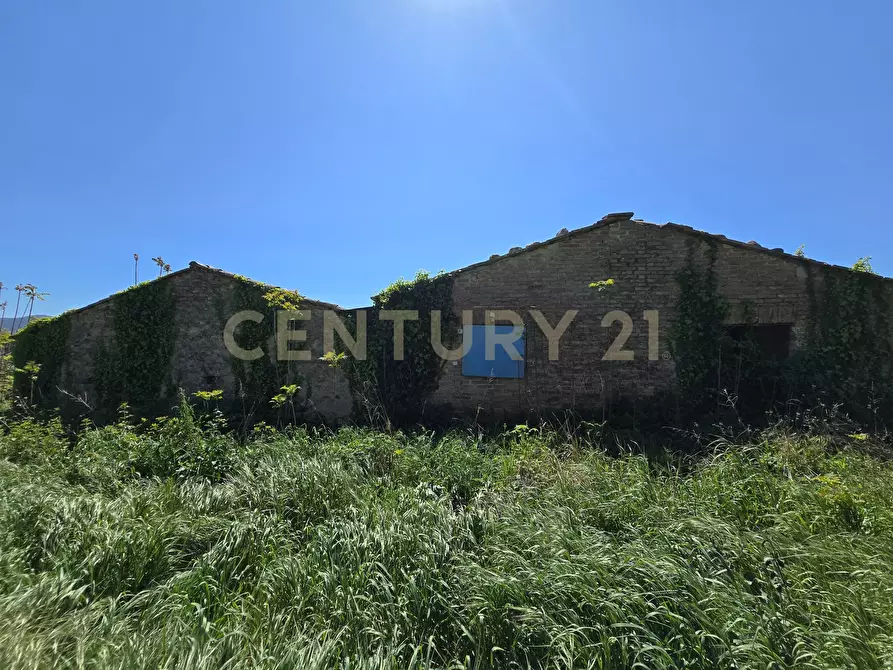 Immagine 6 di Rustico / casale in vendita  in Via di Lattaia a Roccastrada