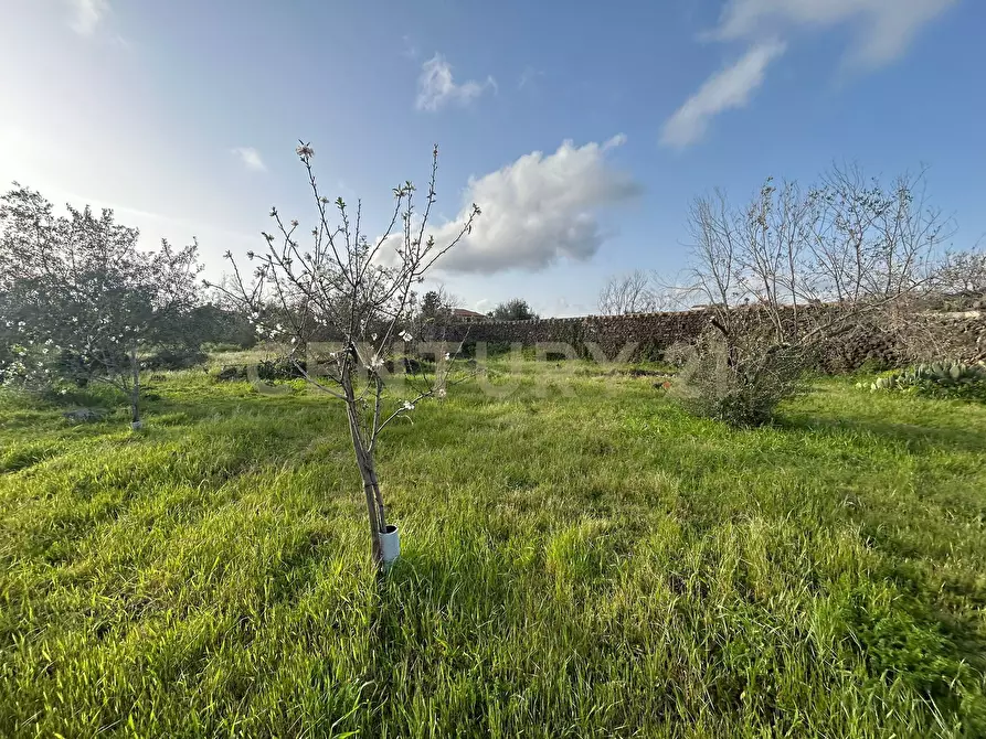 Immagine 33 di Terreno agricolo in vendita  in Via Giovanni Verga 1/A a Misterbianco