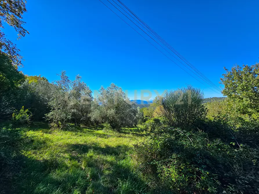 Immagine 2 di Appartamento in vendita  in località le coste snc a Roccastrada