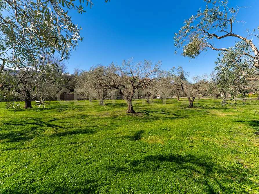 Immagine 42 di Villa in vendita  in Strada Comunale Calderara 5 a Randazzo