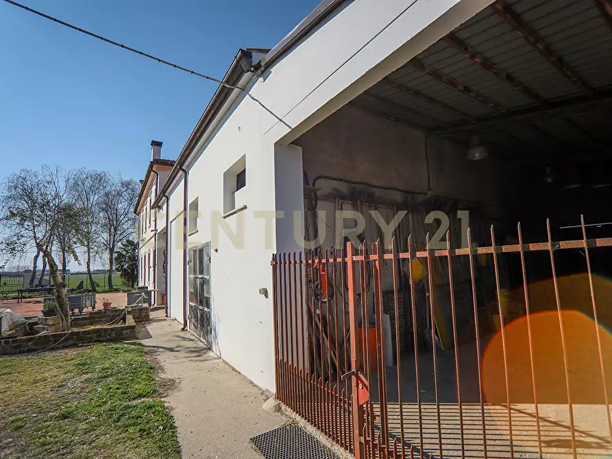 Immagine 24 di Rustico / casale in vendita  in Via Trento 70 a Minerbe