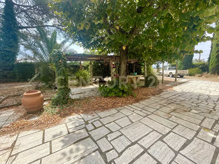 Immagine 17 di Rustico / casale in vendita  in località quarto albegna snc a Manciano