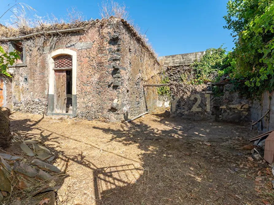 Immagine 3 di Casa indipendente in vendita  in Via Manganelli 3 a Mascalucia
