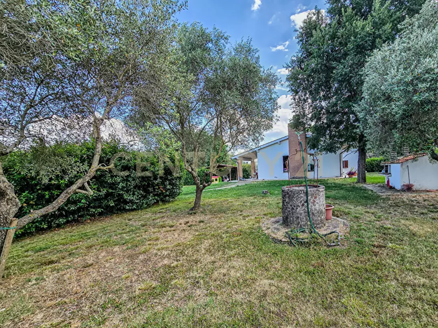 Immagine 11 di Villa in vendita  in Via del Madonnino snc a Grosseto
