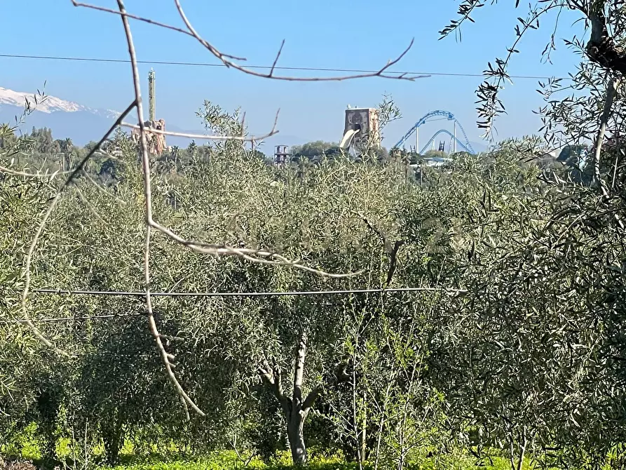 Immagine 10 di Terreno agricolo in vendita  in contrada agnelleria a Belpasso
