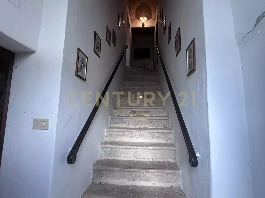 Immagine 18 di Rustico / casale in vendita  in Località Poggio Murella 280 a Manciano