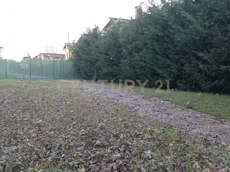 Immagine 2 di Terreno edificabile in vendita  in Via mantova snc a Cerea